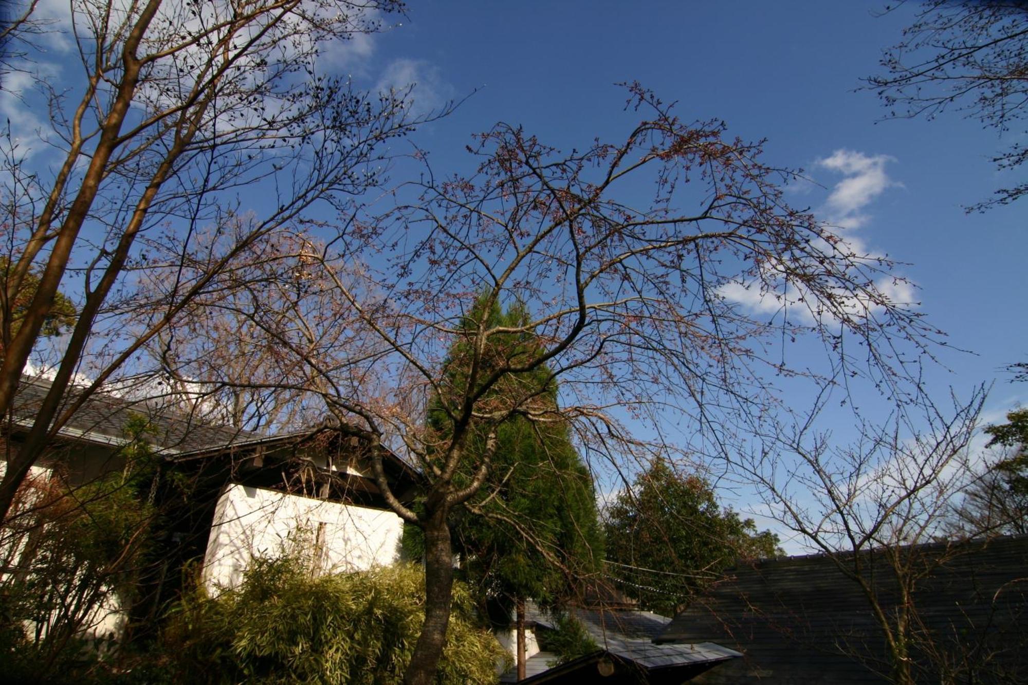 Hanafubuki Hotel Itō Eksteriør billede