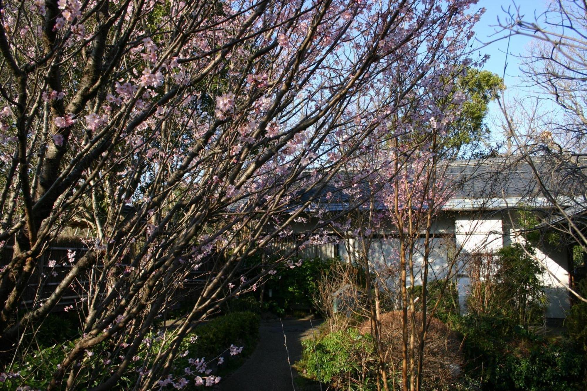 Hanafubuki Hotel Itō Eksteriør billede